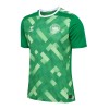 Maglia da Calcio Portiere Danimarca Euro 2024 Verde per Uomo